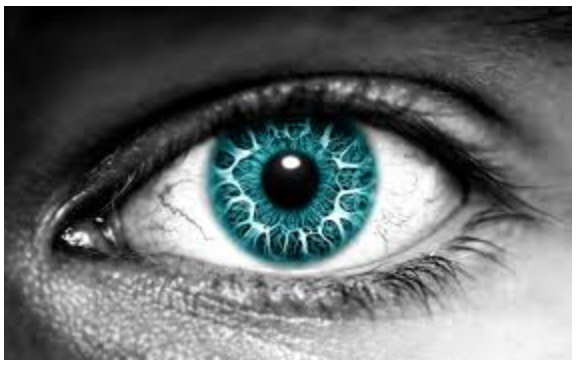 El cerebro hace de ‘cíclope’ para compensar las diferencias visuales entre los ojos